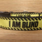 COMBO Collar and Leash / Large/ Blind