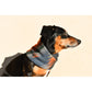 Sequoia Dog Scarf